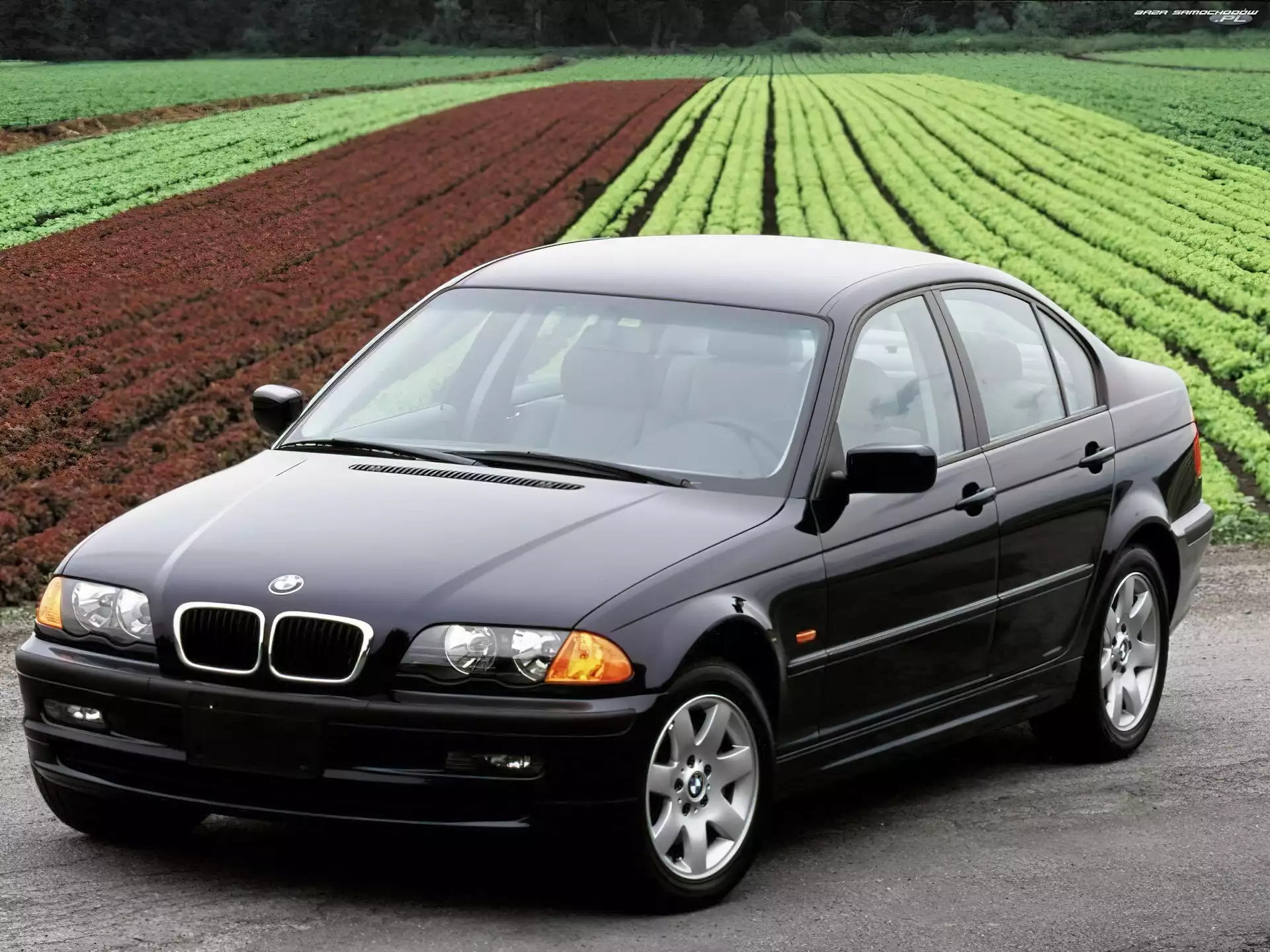 Czarne, BMW, Pole, Sedan