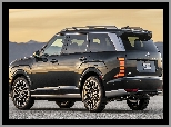 Hyundai Palisade, Czarny
